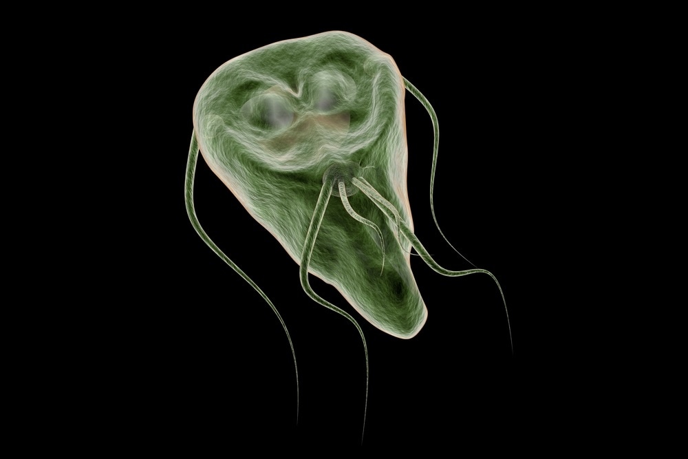 Treatment Of Giardiasis