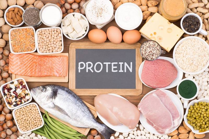 Importance Of Protien