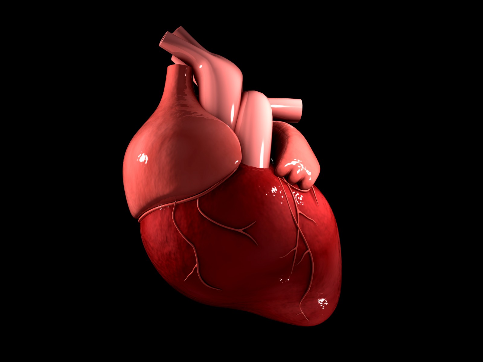 Cardiac Disorders