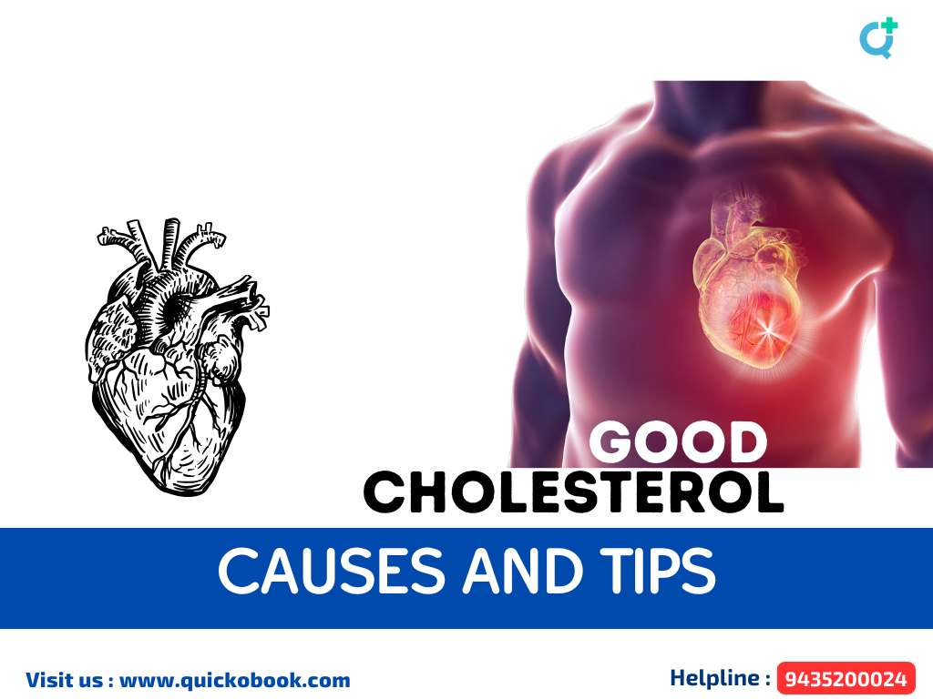 Good Cholesterol(hdl) Causes And Tips