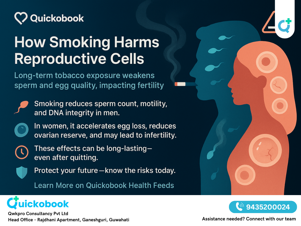Smoking And Its Long-term Effects On Sperm And Egg Health