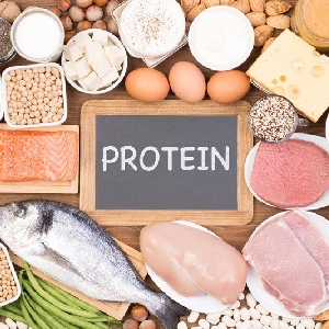Importance Of Protien